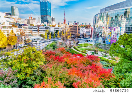 東京都港区　紅葉の毛利庭園 93866736