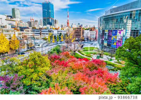 東京都港区　紅葉の毛利庭園 93866738