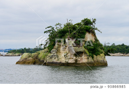 宮城県　七ヶ浜町　松島湾　観光船から見る高遠島 93866985