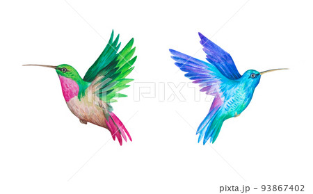 Hummingbirds. Watercolor illustration. Set of isolated elements for decor and design Hummingbirds. Watercolor illustration. Set of isolated elements for decor and design 93867402