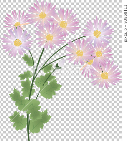 Autumn flowers KIKIKUKI Autumn flowers KIKIKUKI 93868111