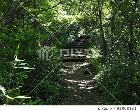 弥彦山 9合目からの登山道 弥彦山 9合目からの登山道 93868131