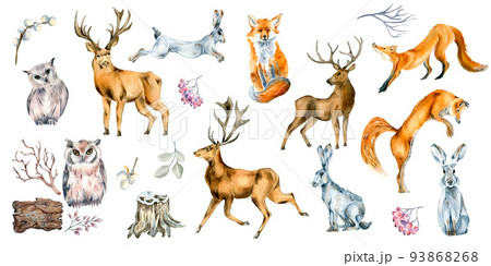 Set of wild animals and forest plants watercolor illustration isolated on white. 93868268