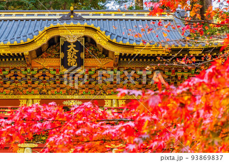 世界遺産「日光の社寺」構成資産　紅葉の輪王寺大猷院　二天門 93869837