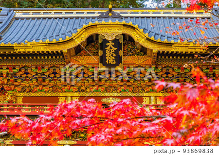 世界遺産「日光の社寺」構成資産 紅葉の輪王寺大猷院 二天門 世界遺産「日光の社寺」構成資産 紅葉の輪王寺大猷院 二天門 93869838