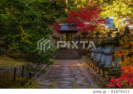 世界遺産「日光の社寺」構成資産 紅葉の輪王寺大猷院 龍光院 世界遺産「日光の社寺」構成資産 紅葉の輪王寺大猷院 龍光院 93870415