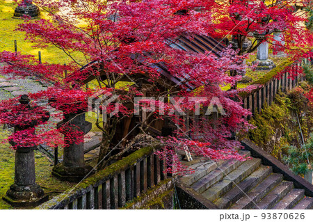 世界遺産「日光の社寺」構成資産 紅葉の輪王寺大猷院 龍光院 世界遺産「日光の社寺」構成資産 紅葉の輪王寺大猷院 龍光院 93870626