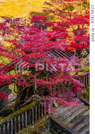 世界遺産「日光の社寺」構成資産　紅葉の輪王寺大猷院　龍光院 93870627