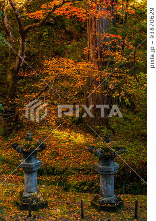 世界遺産「日光の社寺」構成資産 紅葉の輪王寺大猷院 龍光院 世界遺産「日光の社寺」構成資産 紅葉の輪王寺大猷院 龍光院 93870629