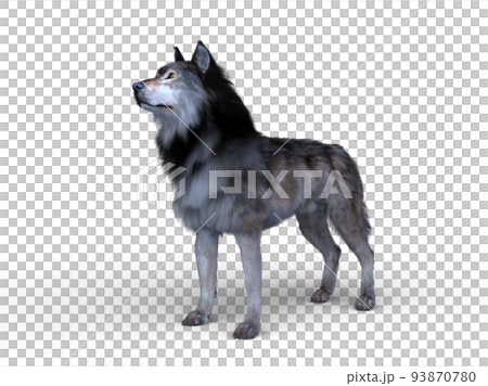 オオカミ オオカミ 93870780