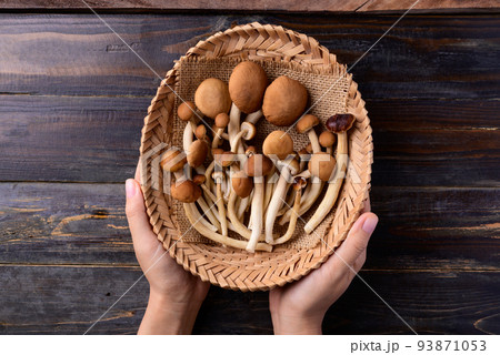 Fresh yanagi matsutake mushroom in basket holding by hand on wooden background, Table top view Fresh yanagi matsutake mushroom in basket holding by hand on wooden background, Table top view 93871053