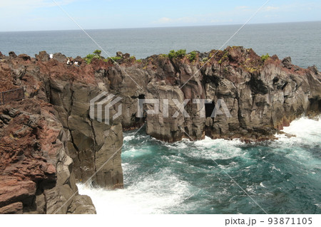 伊豆高原の風景 93871105