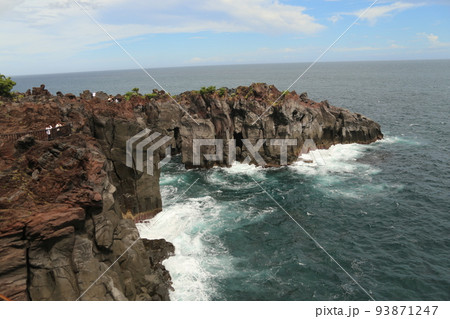 伊豆高原の風景 93871247