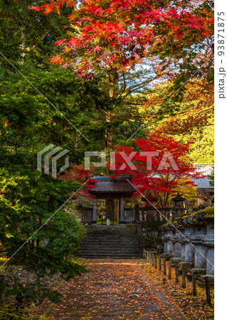 世界遺産「日光の社寺」構成資産　紅葉の輪王寺大猷院　龍光院 93871875