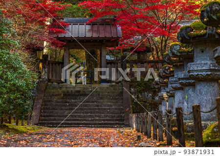 世界遺産「日光の社寺」構成資産 紅葉の輪王寺大猷院 龍光院 世界遺産「日光の社寺」構成資産 紅葉の輪王寺大猷院 龍光院 93871931