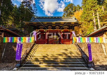 世界遺産「日光の社寺」構成資産　紅葉の輪王寺大猷院　仁王門 93871934