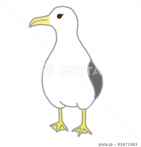 アホウドリ 93871983