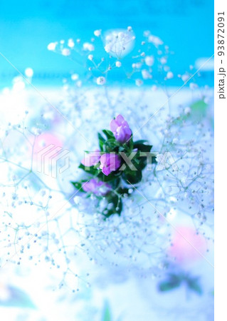 中心にピンクのりんどうの花女性が好きな色合いピンク、ホワイト、水色 中心にピンクのりんどうの花女性が好きな色合いピンク、ホワイト、水色 93872091