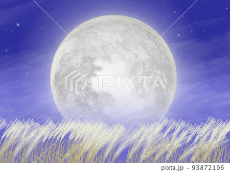 満月の夜には夜風に揺れるススキがよく似合う 93872196