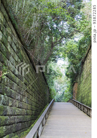 猿島要塞の軍事施設跡【猿島公園・国指定史跡】／神奈川県横須賀市 93872285