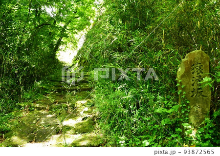箱根町　箱根旧街道（旧東海道）の猿滑坂と新緑 93872565