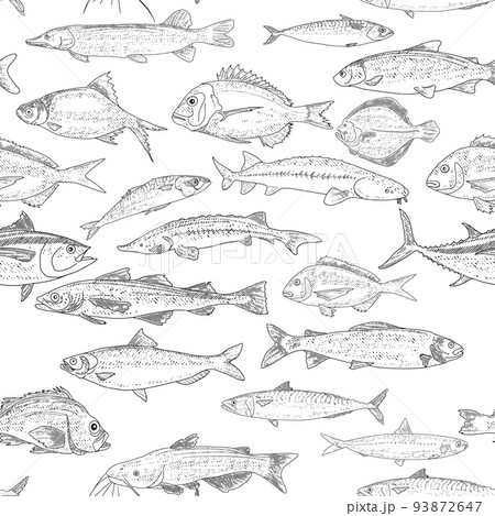 Fish Seamless Pattern 93872647