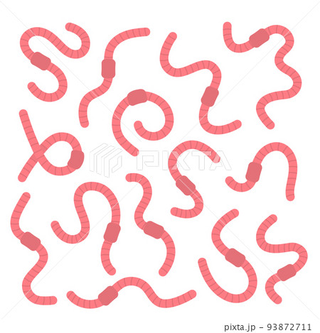 Set of pink curled earthworms. Invertebrate crawling worms illustration. Terrestrial annelids worms. Hand drawn vector illustration. Set of pink curled earthworms. Invertebrate crawling worms illustration. Terrestrial annelids worms. Hand drawn vector illustration. 93872711
