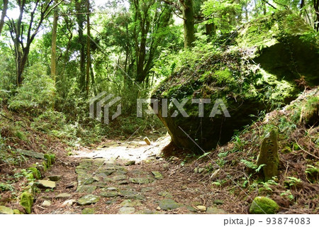 箱根町 箱根旧街道(旧東海道)天ヶ石坂の天蓋石と新緑 箱根町 箱根旧街道(旧東海道)天ヶ石坂の天蓋石と新緑 93874083