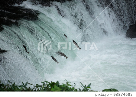 【北海道】さくらの滝 93874685