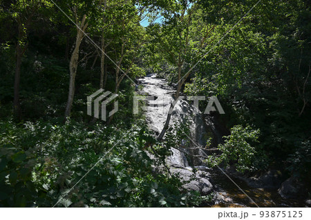 【北海道】カムイワッカの滝 93875125