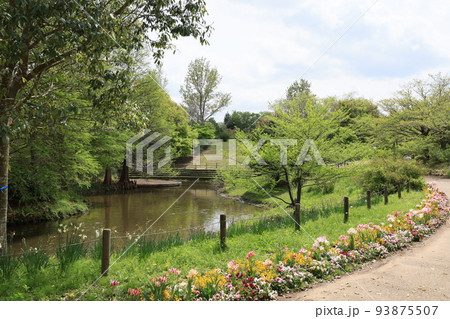 千葉県船橋市のふなばしアンデルセン公園の風景 93875507