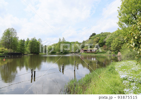 千葉県船橋市のふなばしアンデルセン公園の風景 千葉県船橋市のふなばしアンデルセン公園の風景 93875515