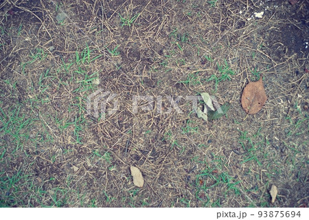 枯れた地面 93875694