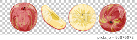 Hand drawn watercolor style illustration of a juicy apple Hand drawn watercolor style illustration of a juicy apple 93876078