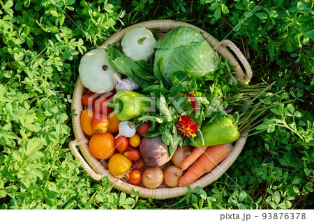 Top view of basket with many different vegetables herbs 93876378