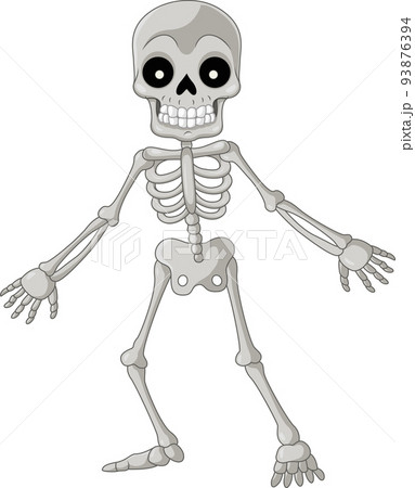 Cartoon funny skeleton on white backgroundのイラスト素材 [93876394] - PIXTA