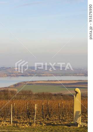 spring vineyard near Pavlov, Southern Moravia 93876990