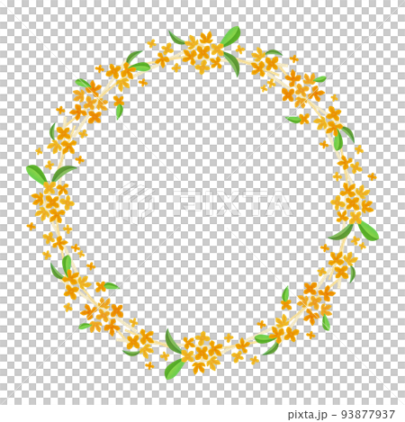 fragrant fragrant osmanthus wreath cassia autumn flower 93877937