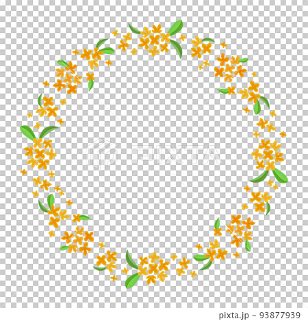 fragrant fragrant osmanthus wreath cassia autumn flower fragrant fragrant osmanthus wreath cassia autumn flower 93877939