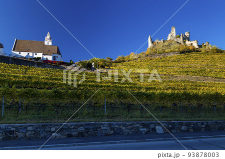 Ruins of Senftenberg, Krems-Land District, Lower Austria, Austria Ruins of Senftenberg, Krems-Land District, Lower Austria, Austria 93878003