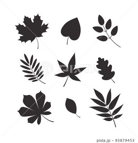 Autumn leaf silhouettes 93879453