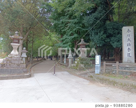 春日大社参拝 春日大社参拝 93880280