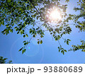 木漏れ日 93880689