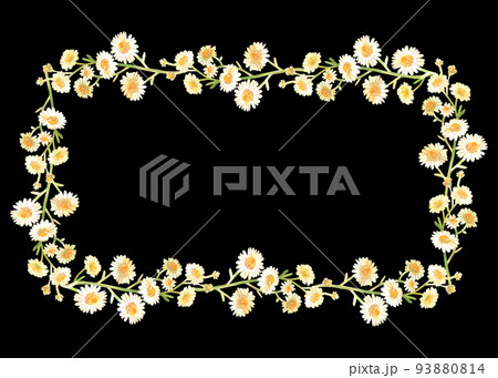 Chamomile rectangular wreath. Watercolor illustration. Isolated on a black background. For design. Chamomile rectangular wreath. Watercolor illustration. Isolated on a black background. For design. 93880814