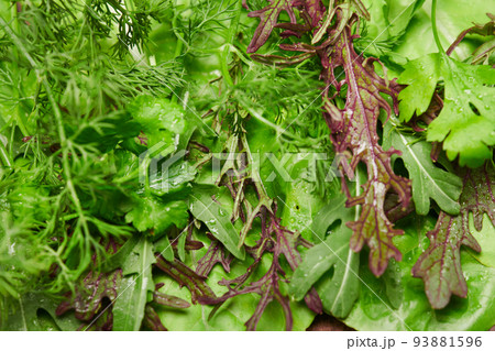 top view of green dill, parsley, salad, herbs and other greens, concept of fresh vegetables and healthy food 93881596