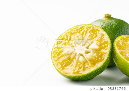 シークヮーサー 93881746