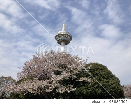 埼玉県所沢市の航空記念公園のタワーの周りを包む桜の花です。 埼玉県所沢市の航空記念公園のタワーの周りを包む桜の花です。 93882505
