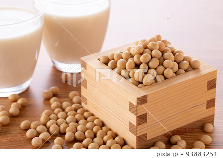 豆乳と大豆 豆乳と大豆 93883251