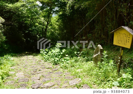 箱根町 箱根旧街道(旧東海道)の権現坂と新緑 箱根町 箱根旧街道(旧東海道)の権現坂と新緑 93884073