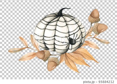 Watercolor floral pumpkins composition. Pumpkins for Halloween. Thanksgiving decor. Watercolor floral pumpkins composition. Pumpkins for Halloween. Thanksgiving decor. 93884212